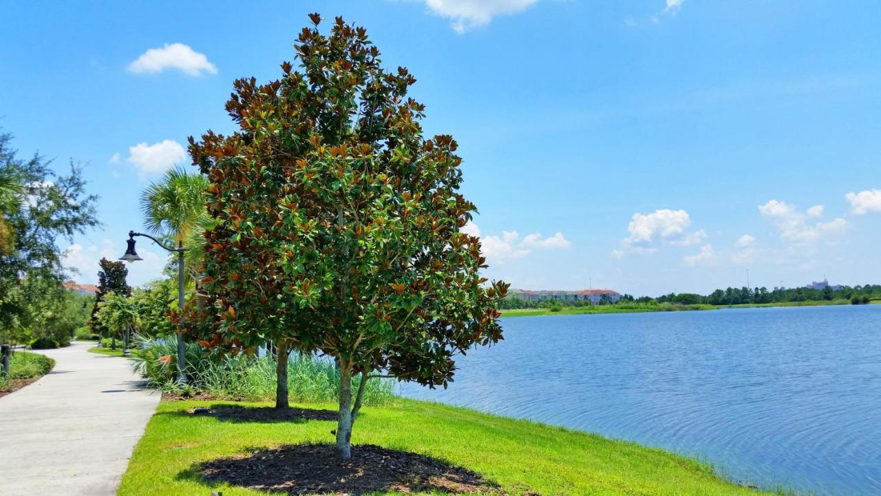 Florida Palms Villa Orlando Kültér fotó